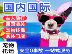 长白山航空空运国际宠物托运 【国